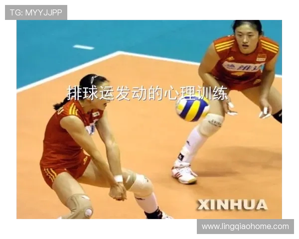 南京排球队的个人能力揭秘：从技术到心理的全面分析与探讨