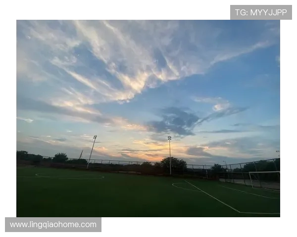 南京飞盘队荣登飞盘节奏排行榜第二名展现强劲实力与团队默契